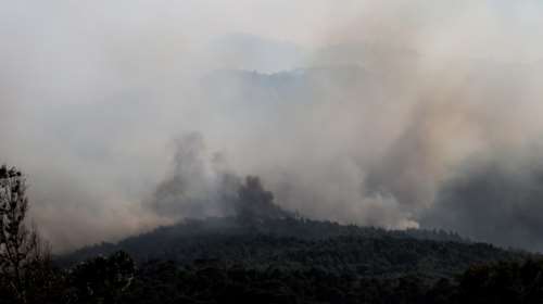 Ο κύκλος των καμένων δασών: Οι ειδικοί εξηγούν πώς να αποφύγουμε τις καταστροφικές πυρκαγιές