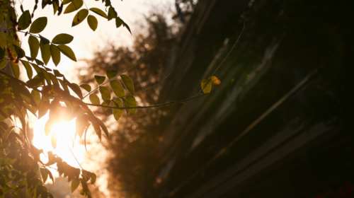 Αίθριος ο καιρός σήμερα: Εως 20 βαθμούς η θερμοκρασία - Πού θα σημειωθούν βροχές