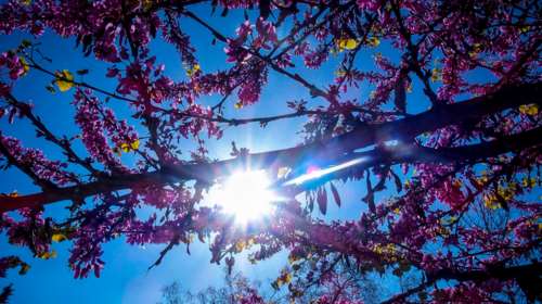 Ο... Φλεβάρης κι αν φλεβίσει: Ανοιξιάτικος καιρός με 20άρια σήμερα