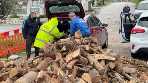 Γλυφάδα: Ο Δήμος μάζεψε τα σπασμένα δέντρα από την κακοκαιρία και δίνει δωρεάν τα ξύλα στους δημότες