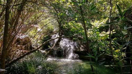 Πολυλίμνιο: Ο καταπράσινος παράδεισος με τις λίμνες και τους καταρράκτες στη Μεσσηνία [εικόνες]