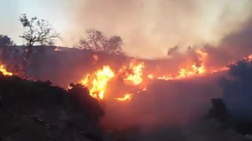 Κρήτη: Συναγερμός για πυρκαγιά τώρα στο Λασίθι (βίντεο)