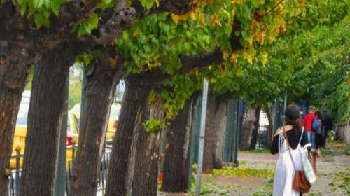 Αλλάζει ο καιρός: Απότομη πτώση της θερμοκρασίας ως 9 βαθμούς από σήμερα - Νέα άνοδος το Σαββατοκύριακο