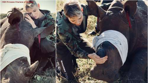 Το απίθανο safari look της πριγκίπισσας Σαρλίν: Σώζει ρινόκερους στη ζούγκλα