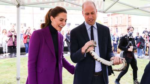 Κέιτ - Γουίλιαμ: Η απίστευτη αποκάλυψη για τα ζώα που έχουν στο σπίτι τους