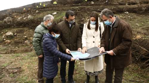 Ταχεία αποκατάσταση μεγάλου μέρος των καμένων περιοχών της Βαρυμπόμπης μέσα από τη σημαντική δωρεά της Coca-Cola στην Ελλάδα
