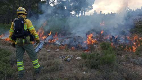 Η πρόληψη είναι μονόδρομος για την προστασία των δασών μας