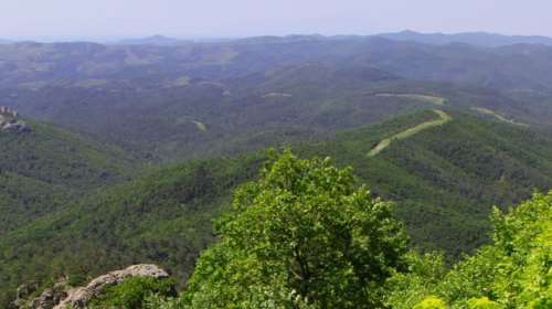 Εθνικό Πάρκο Δαδιάς: Αυτό είναι το παρθένο δάσος που καίγεται - Τα σπάνια αρπακτικά πουλιά και τα μοναδικά τοπία