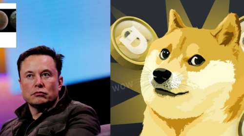 Ο Ίλον Μασκ άλλαξε το σήμα του Twitter - Έβγαλε το μπλε πουλί και έβαλε έναν... σκύλο