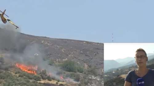 &quot;Λύγισε&quot; η δημοσιογράφος της ΕΡΤ που είδε την πτώση του Canadair - &quot;Mε αυτοθυσία αυτά τα παλικάρια έπεφταν στην πλαγιά&quot;