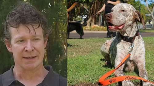 Φρίκη στην Αυστραλία: Ένα πορτοκαλί λουρί πρόδωσε τον αρρωστημένο ζωολόγο που βίαζε και βασάνιζε σκυλάκια