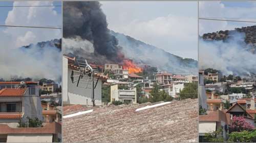 Υπό έλεγχο η φωτιά στη Λούτσα - Κινδύνεψαν σπίτια - Ομοιότητες με τη φωτιά στη Βούλα [εικόνες]