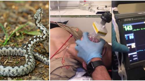 Βίντεο: Πώς το ΕΚΑΒ έσωσε την 39χρονη που δαγκώθηκε από οχιά σε σχολείο της Θεσσαλονίκης- &quot;Δεν θα υπήρχα σήμερα&quot;