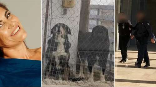Θεσσαλονίκη: Προφυλακίστηκε ο ιδιοκτήτης των τριών σκυλιών που κατασπάραξαν την 50χρονη Ελισσάβετ