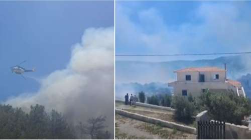 Φωτιά στη Σάμο: Κοντά στον οικισμό Μυτιληνιοί οι φλόγες - Προσαγωγή ηλικιωμένης, πήγε να κάψει σφηκοφωλιά