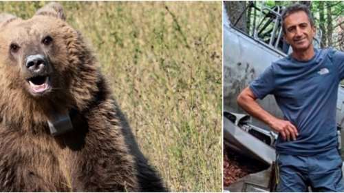 Δράμα: Στο βίντεο του άτυχου ορειβάτη ακούγεται το γαύγισμα του σκύλου, η αρκούδα και μερικά &quot;ωχ ωχ&quot;