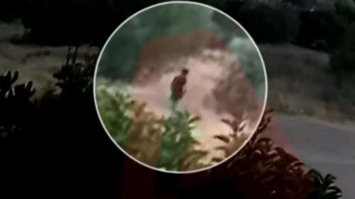 Φωτιά στην Πεντέλη - Βίντεο ντοκουμέντο: Μαυροφορεμένος εμπρηστής βάζει φωτιά στα Σπάτα και εξαφανίζεται