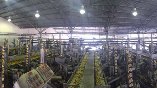 Αυτή είναι η κονσερβοποιία που έσπειρε τον κορονοϊό στη Β. Ελλάδα - Προσωρινό λουκέτο [εικόνες]