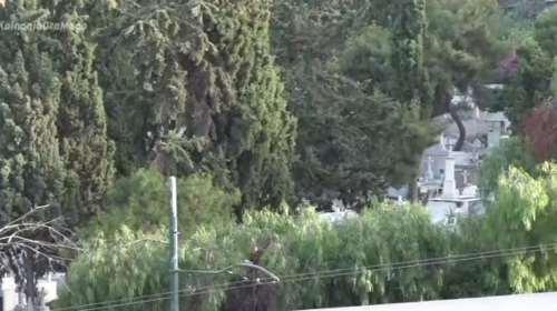Α’ Νεκροταφείο: Έκοψαν τα δέντρα και οι γύρω πολυκατοικίες έχουν θέα… τάφους [βίντεο]