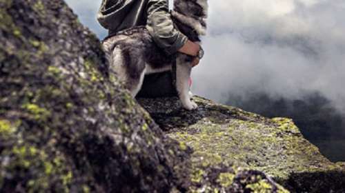 &quot; Ο Ευτύχας&quot;: Ηταν νεκρός για τρεις ημέρες στον Πλατανιά Πηλίου με τον πιστό του σκύλο στο πλευρό του μέχρι τέλος