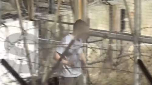 Γλυκά Νερά: Βίντεο με τον Αναγνωστόπουλο στον Κορυδαλλό - Σκότωσε τον σκύλο του και τώρα ταΐζει τις γάτες στη φυλακή