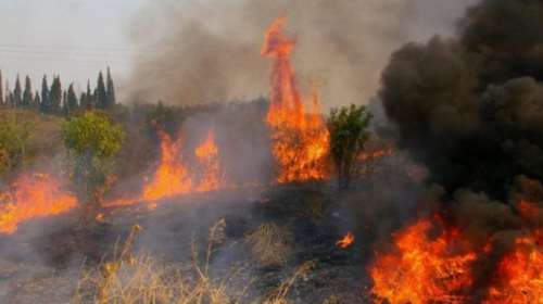 Μεγάλη φωτιά στις Κεχριές Κορίνθου - Εκκενώθηκαν παιδικές κατασκηνώσεις [εικόνες]
