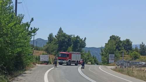 Φωτιά σε δασική έκταση ανάμεσα σε Μαρκόπουλο και Κάλαμο