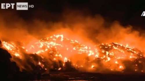 Θεσσαλονίκη: Μεγάλη πυρκαγιά σε εταιρεία με ανακυκλώσιμα υλικά στη Σίνδο [βίντεο]