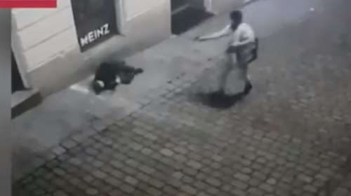 Μακελειό στη Βιέννη: Σοκαριστικό βίντεο - Ένοπλος σκοτώνει εν ψυχρώ άνδρα στον δρόμο