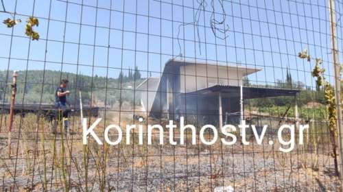 Φωτιά στη Νεμέα: Κινδύνεψε κατοικία, κάηκε γεωργική έκταση [Εικόνες]