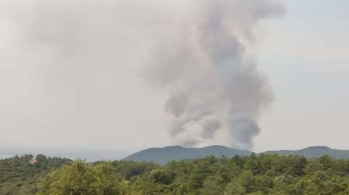 Φωτιά στον Πολύγυρο Χαλκιδικής: Επιχειρούν εναέρια μέσα - Δεν απειλούνται σπίτια