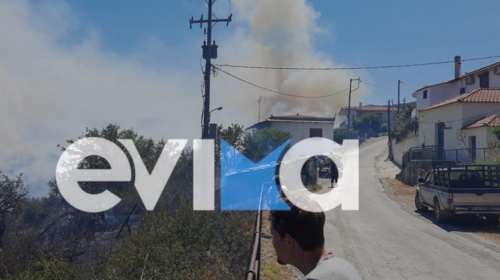 Φωτιά στον Κρεμαστό Εύβοιας: Οι φλόγες έφτασαν στην είσοδο του χωριού - Ετοιμάζεται σχέδιο εκκένωσης [βίντεο]