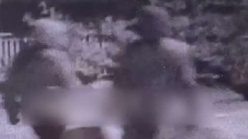 Ένοπλη ληστεία στη Θεσσαλονίκη: Βίντεο ντοκουμέντο - Είχε συνεργό ο δράστης της δολοφονίας του 44χρονου υπαλλήλου [Βίντεο]