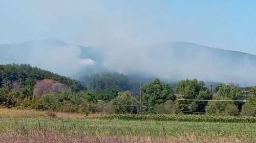 Φωτιά στη Μεσσηνία: Διπλό μέτωπο σε Πλάτσα Μάνης και Καλό Νερό Τριφυλλίας