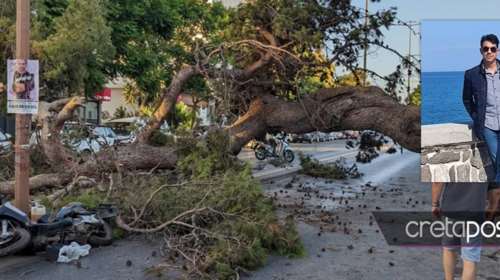 Ηράκλειο: Οργή για τον θάνατο του 51χρονου μοτοσικλετιστή από πτώση δέντρου - Κόπηκε το κράνος στα δύο [εικόνες]