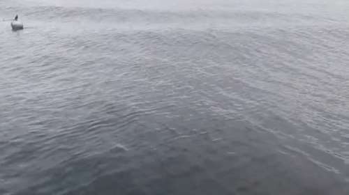 Η στιγμή που ο σεισμός στην Τουρκία σαρώνει τη θάλασσα του Μαρμαρά και &quot;σηκώνει&quot; κύματα [βίντεο]