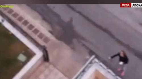 Δραπετσώνα: Λυκόσκυλο κατασπάραξε κανίς μέσα από την αγκαλιά της ιδιοκτήτριάς του - Βίντεο σοκ