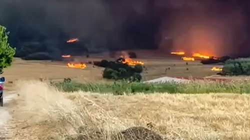Συνεχίζεται η μάχη με τις φλόγες στην Αλεξανδρούπολη: Διαρκείς αναζωπυρώσεις, κάηκαν πέντε σπίτια και μια εκκλησία [βίντεο]