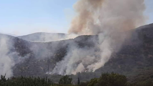 Σε πύρινο κλοιό: Κάηκαν σπίτια στη Σάμο, ενίσχυση δυνάμεων στον Έβρο, συναγερμός στην Κάρυστο - Τα ενεργά μέτωπα [εικόνες-βίντεο]