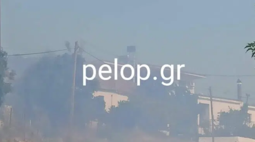 Νέα φωτιά στην Αχαΐα: Ξέσπασε στο χωριό Άρλα - Ισχυρές δυνάμεις της πυροσβεστικής