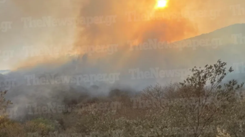 Μεγάλη φωτιά στο Πήλιο: Μάχη της πυροσβεστικής με τις φλόγες και τους ισχυρούς ανέμους