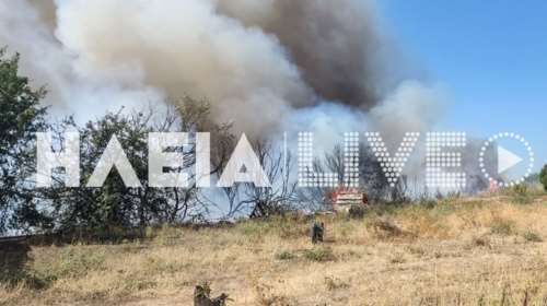 Συναγερμός για φωτιά στην περιοχή Αγνάντα Ηλείας - Σηκώθηκαν εναέρια μέσα