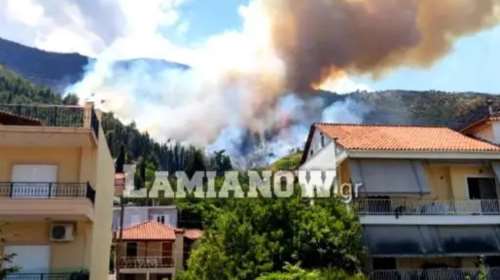 Μεγάλη φωτιά στην Αταλάντη - Στις αυλές των σπιτιών οι &quot;πύρινες γλώσσες&quot; [εικόνες - βίντεο]