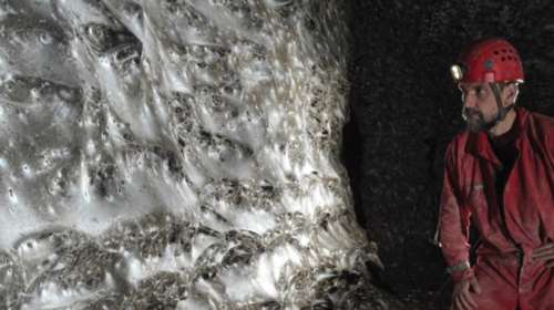 O μεγαλύτερος ιστός αράχνης στον κόσμο σε σπήλαιο στα σύνορα Ελλάδας – Αλβανίας - Πάνω από 111.000 αράχνες