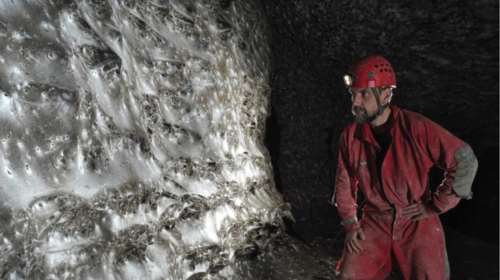 O μεγαλύτερος ιστός αράχνης στον κόσμο σε σπήλαιο στα σύνορα Ελλάδας – Αλβανίας - Πάνω από 111.000 αράχνες