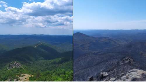 Κρανίου τόπος το δάσος της Δαδιάς - Συγκλονιστικές εικόνες από το πριν και το μετά της καταστροφικής πυρκαγιάς