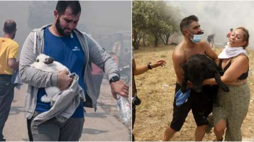 Φωτιά στην Πάρνηθα: Η στιγμή που κάτοικοι, εθελοντές και αστυνομικοί σώζουν ζώα από τις φλόγες [εικόνες]