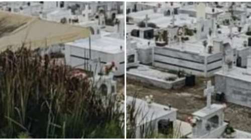 Ηλεία: Μυστήριο με άνδρα που ξέθαψαν 1,5 χρόνο μετά το θάνατο του - Τι ερευνούν οι Αρχές [εικόνες]