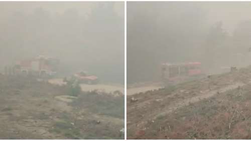 Φωτιά στη Δαδιά: Βίντεο με τον εφιαλτικό πυκνό καπνό - Παλεύουν με την πύρινη λαίλαπα οι πυροσβέστες