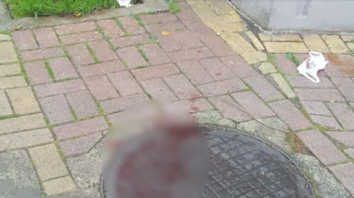 Σοβαρός τραυματισμός ηλικιωμένης στα Χανιά - Η παγίδα στο πεζοδρόμιο [εικόνες]